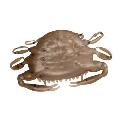 Berkley Gulp Alive Shrimp And Peeler Crab Assortment -go fishing Berkley Gulp Alive 2in Peeler Crab Natural Peeler