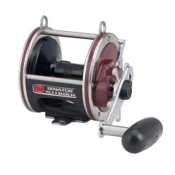 Penn Special Senator Star Drag Reel -go fishing PENN Special Senator Star Drag 113H2LH