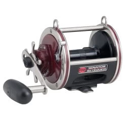 Penn Special Senator Star Drag Reel -go fishing PENN Special Senator Star Drag 113H2LW