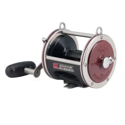 Penn Special Senator Star Drag Reel -go fishing PENN Special Senator Star Drag 113H2LW 2
