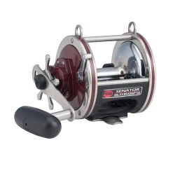 Penn Special Senator Star Drag Reel -go fishing PENN Special Senator Star Drag 113H2SP