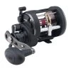 Penn Warfare Level Wind Reel -go fishing PENN Warfare Level Wind 20LW