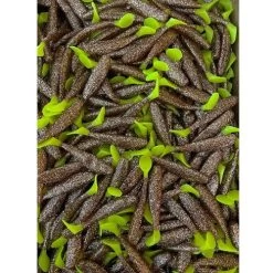 KWigglers 4″ Paddle Tail -go fishing RootbeerMFCH