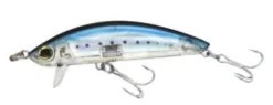 Yo-Zuri 3D Inshore Surface Minnow 3 1/2″ -go fishing Sardine 3 1