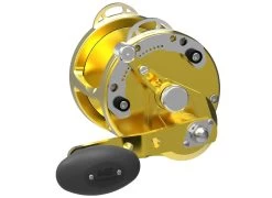 Avet HXW 4.2 -go fishing avet hxw 42 gold1