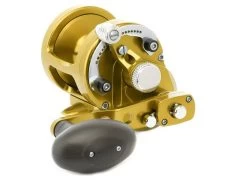 Avet MXL 6/4 MC Raptor -go fishing avet mxl 64 raptor gold1