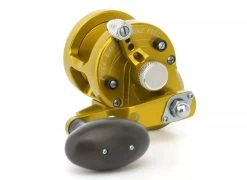 Avet SX Raptor -go fishing avet sxj 53 gold1